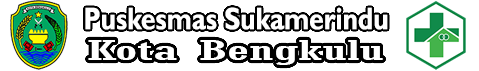 Website Resmi Puskesmas Sukamerindu